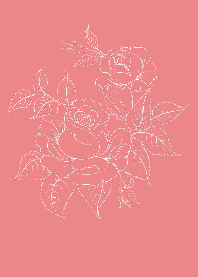 Rose Flower