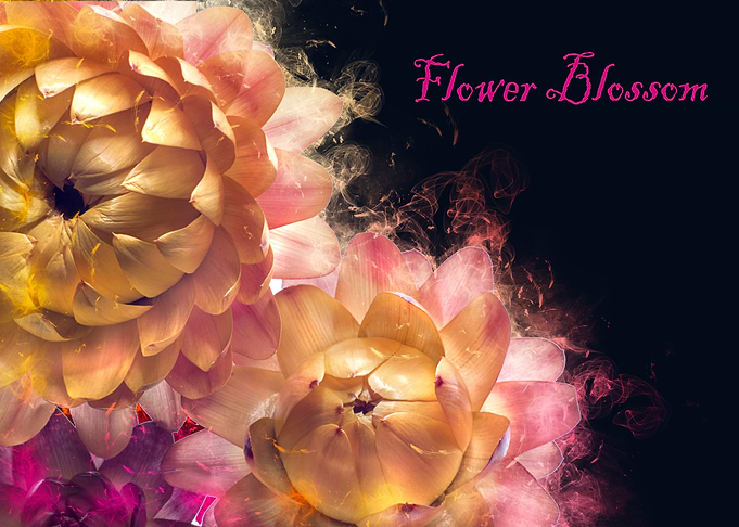flower blossom