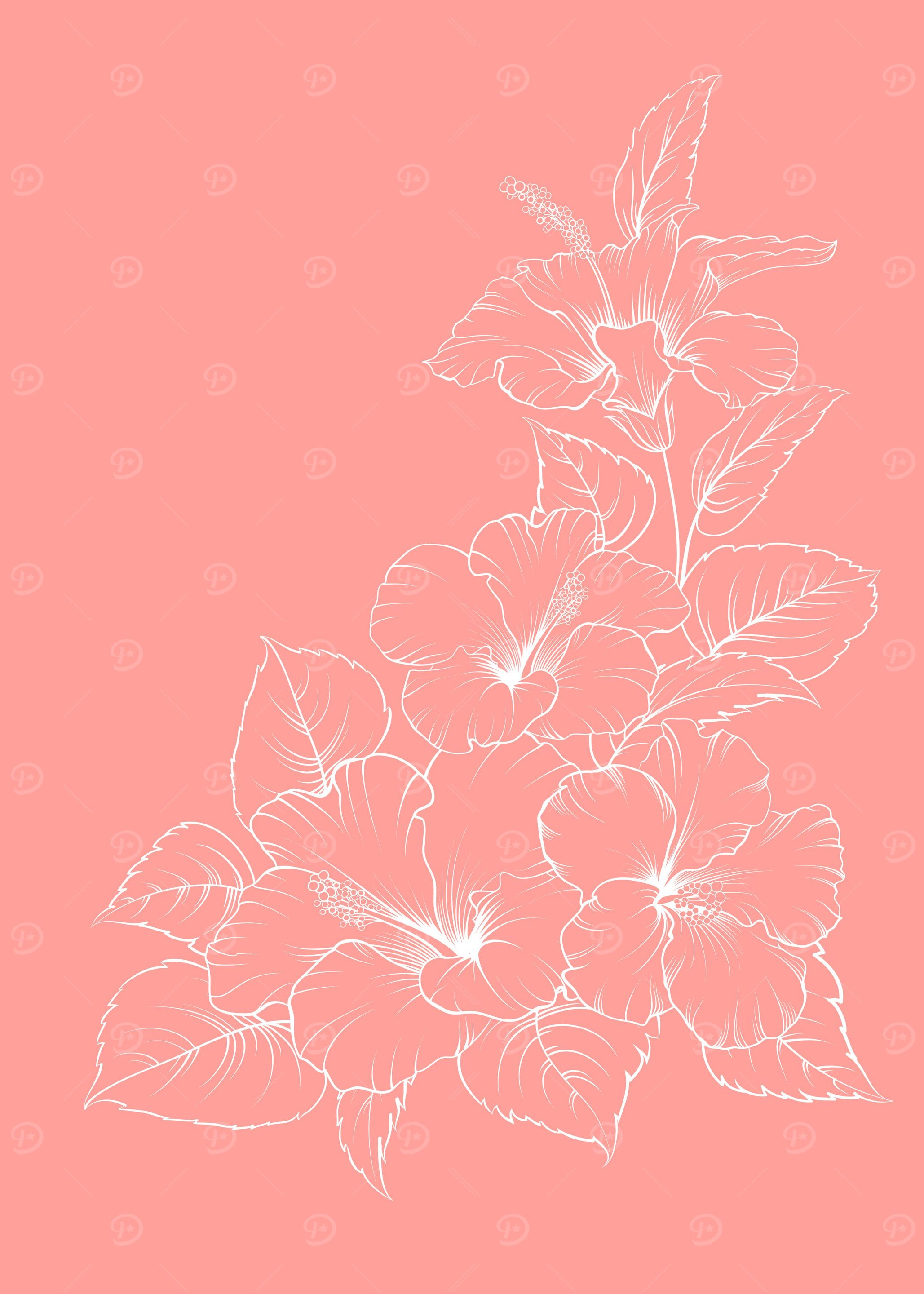 Hibiscus Tropical Flower