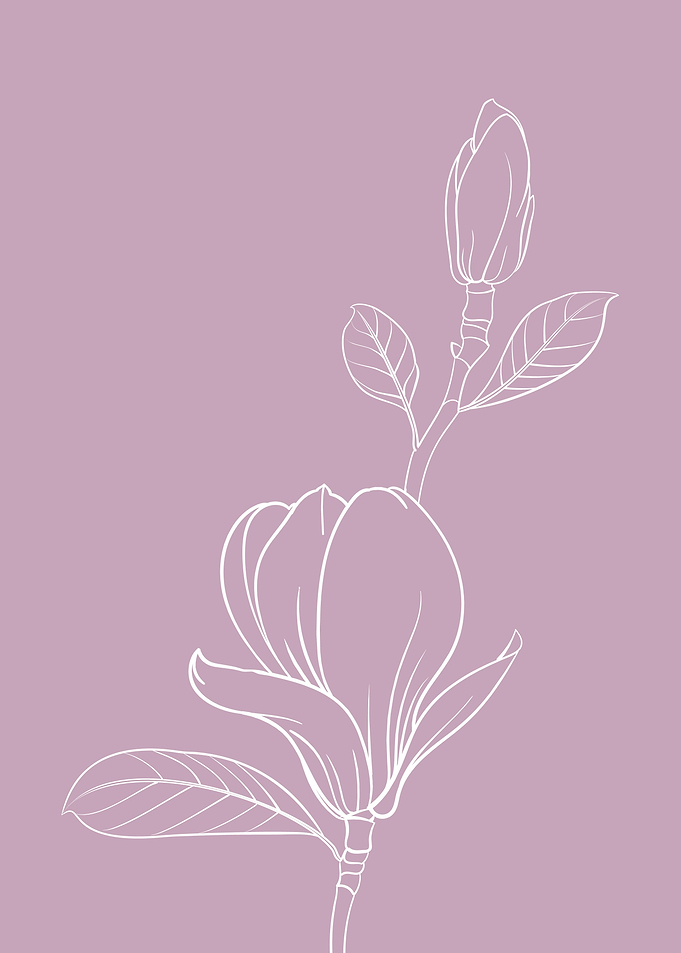 Magnolia Flower
