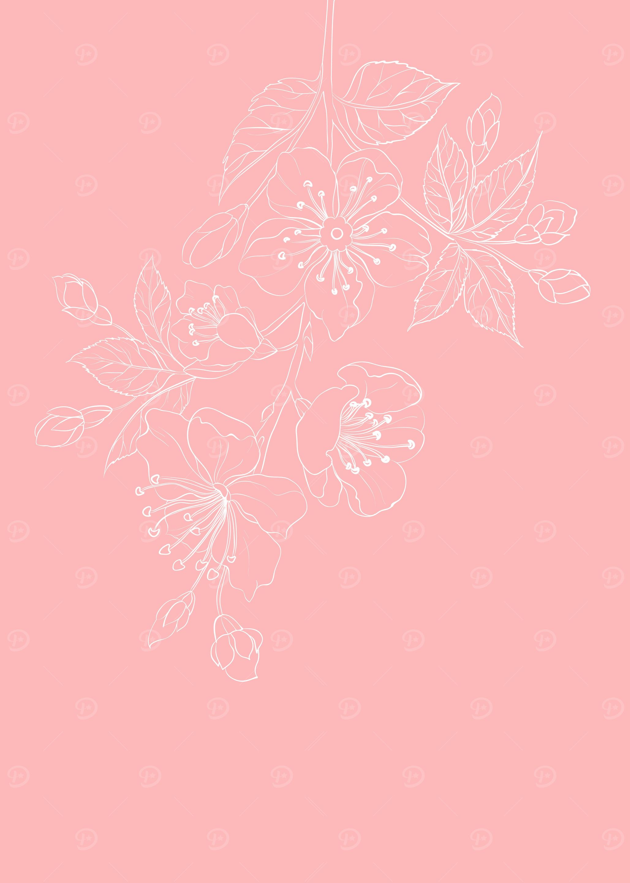 Cherry Blossom Sakura