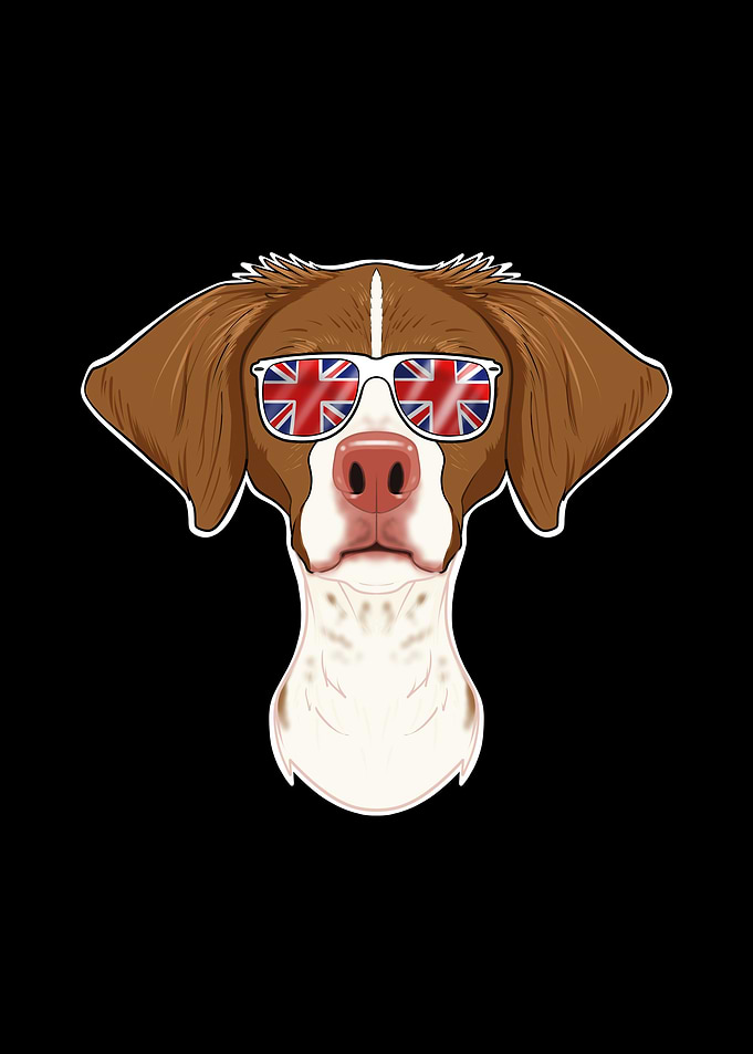Brittany UK Sunglasses
