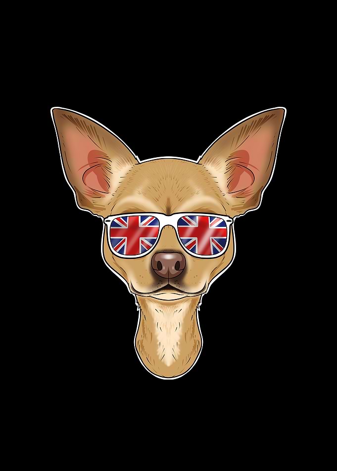 Chihuahua UK Sunglasses