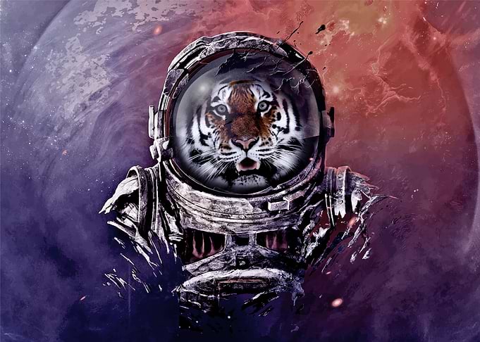 Astronaut Tiger