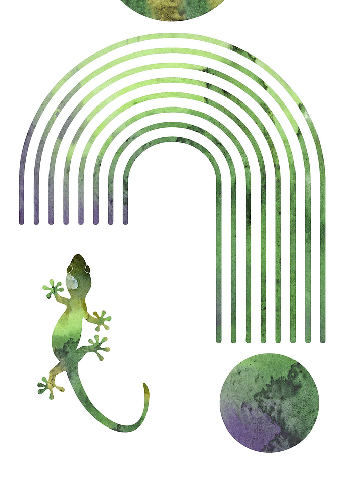 Gecko