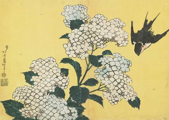 Hydrangeas and Swallow
