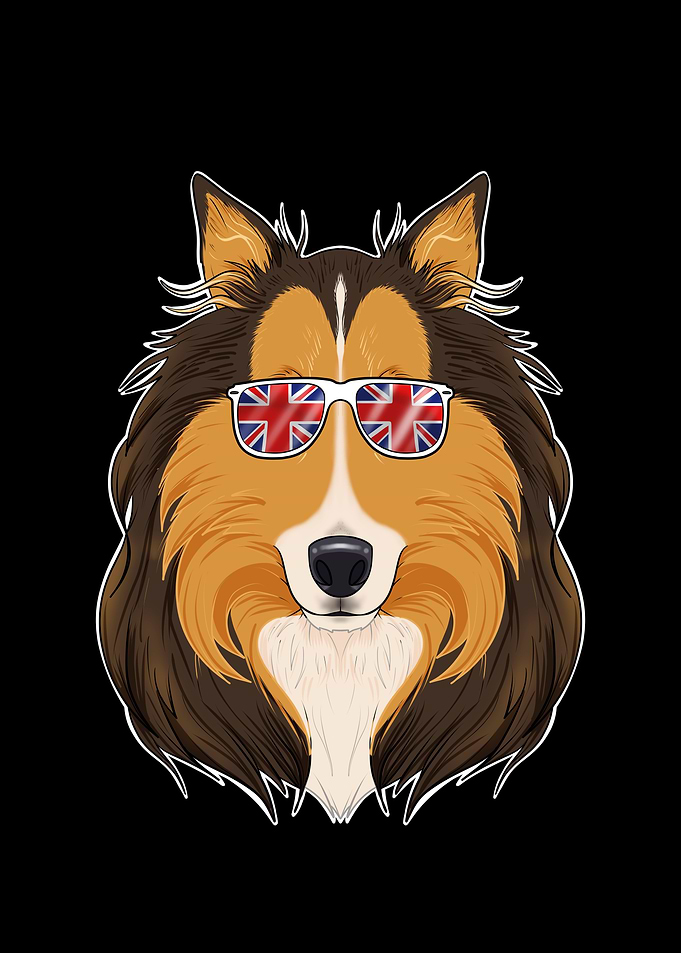 Collie UK Sunglasses