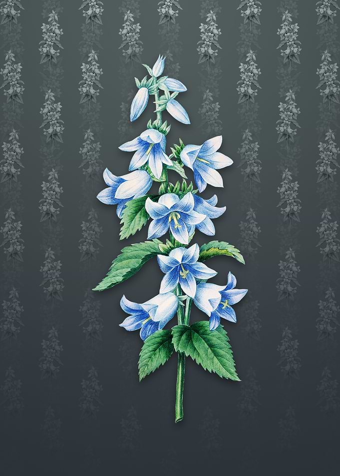 Vintage Bellflowers