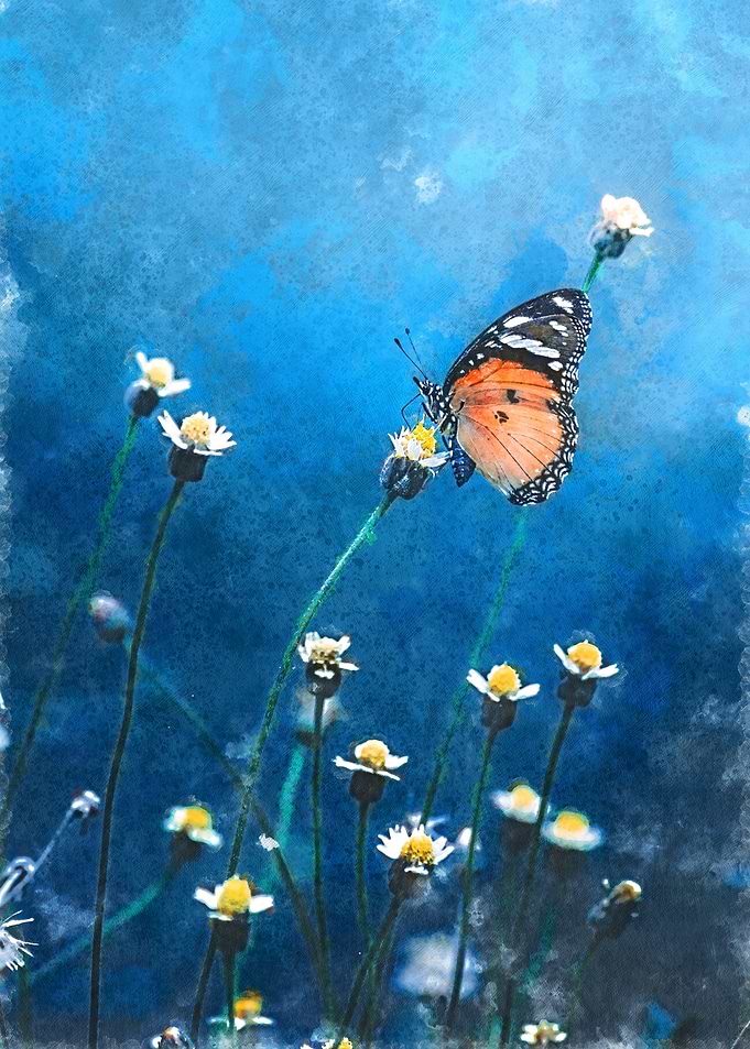 Watercolor Butterfly