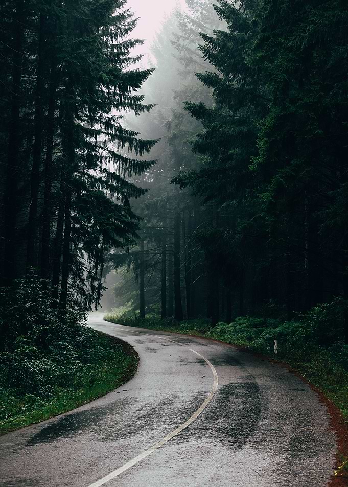 Forest Road