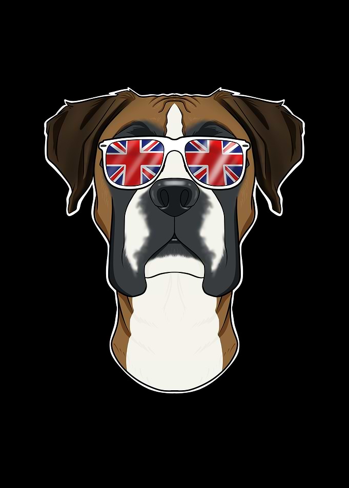 Boxer UK Sunglasses