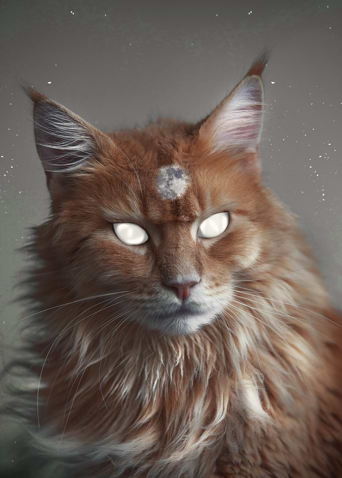 Moon Cat 2