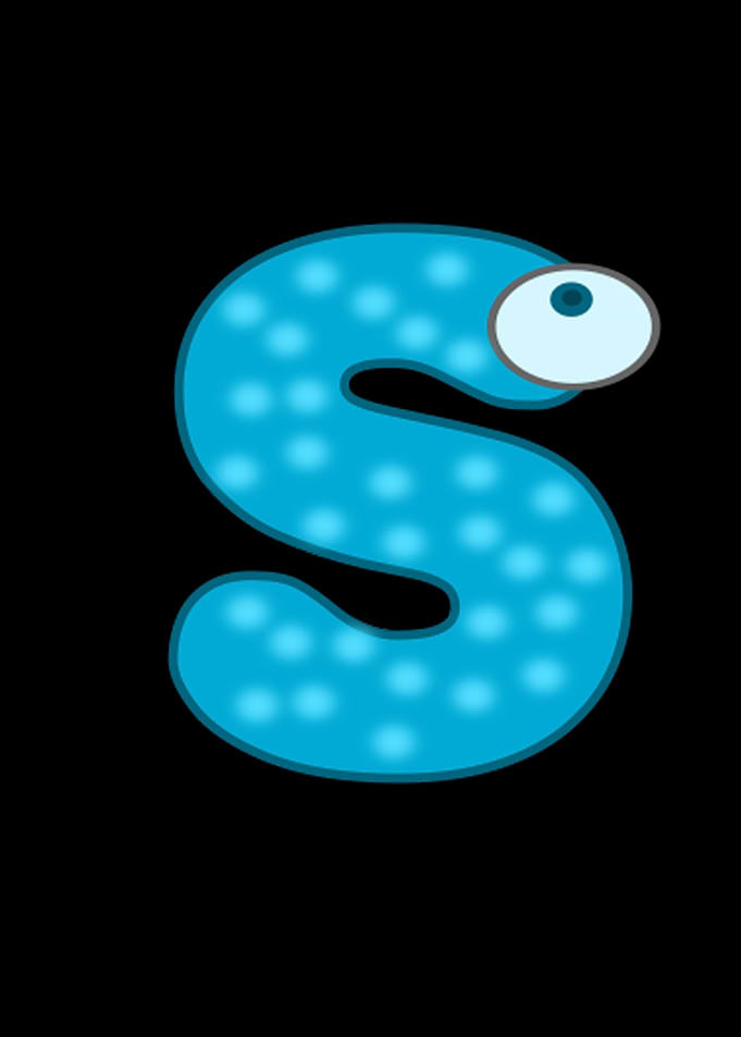 S letter