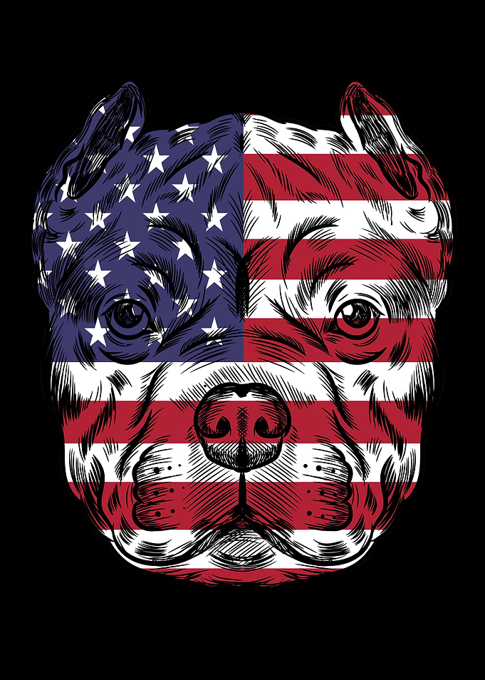 Pitbull Dog 4th Of July