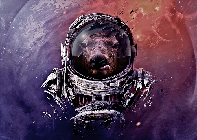 Astronaut Deer