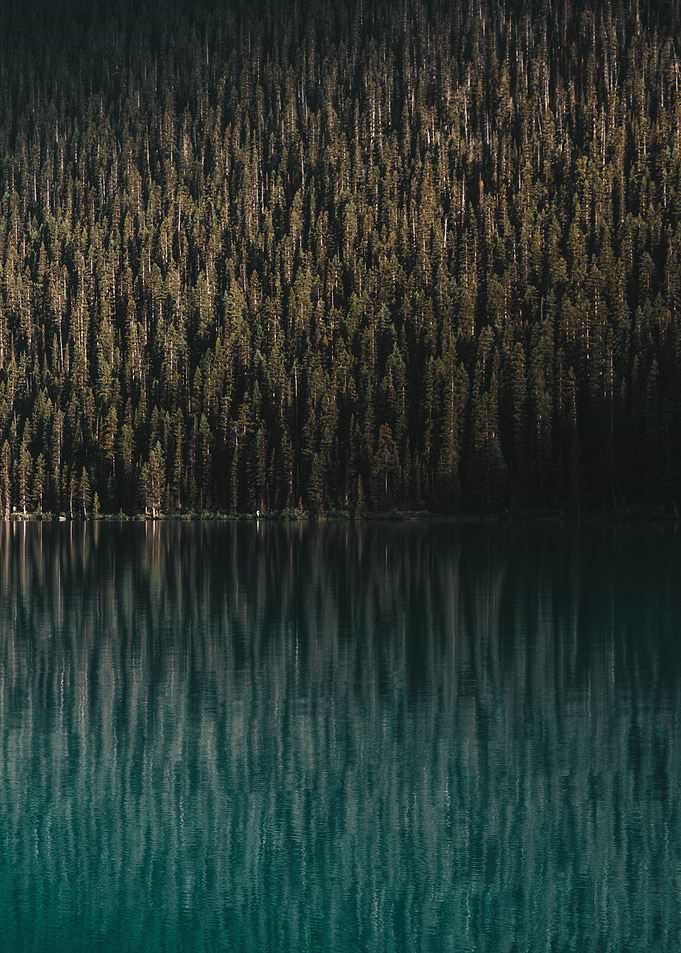 Lakeside Reflection