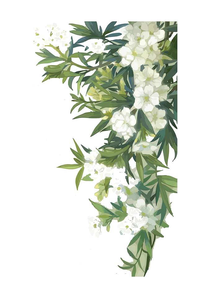 Scandinavian floral