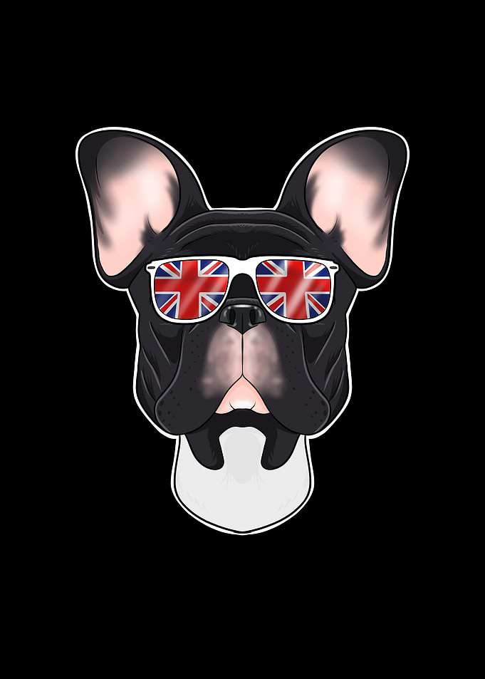 French Bulldog UK Frenchie