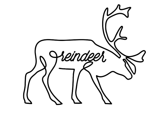 Reindeer