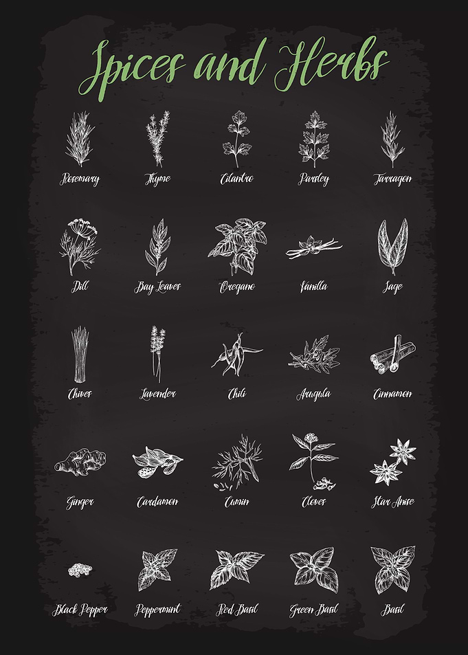Spices and Herbs Guide