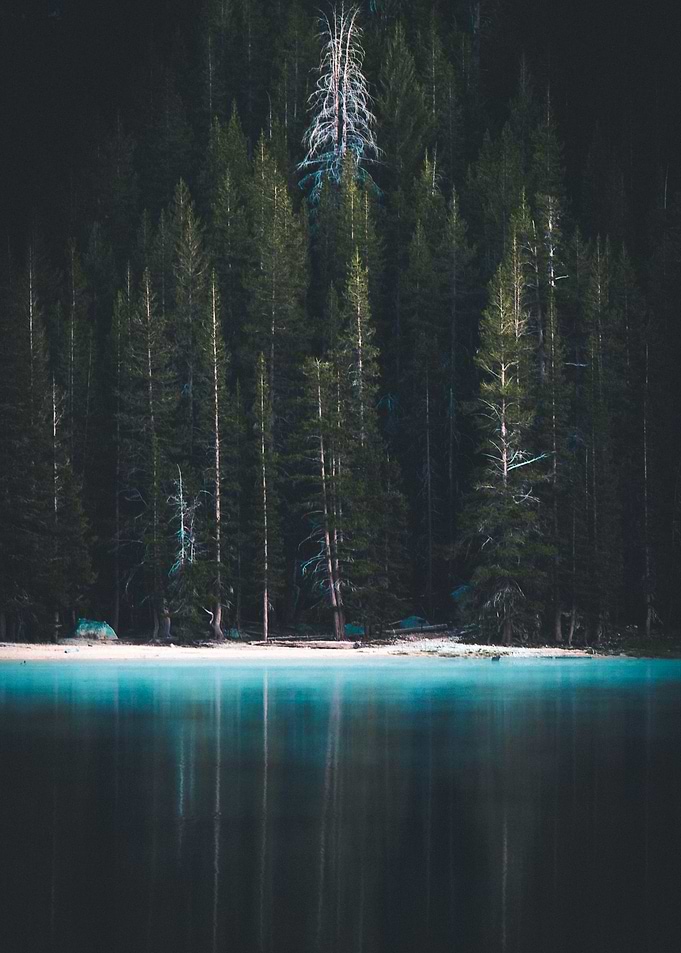 Lakeside Reflection