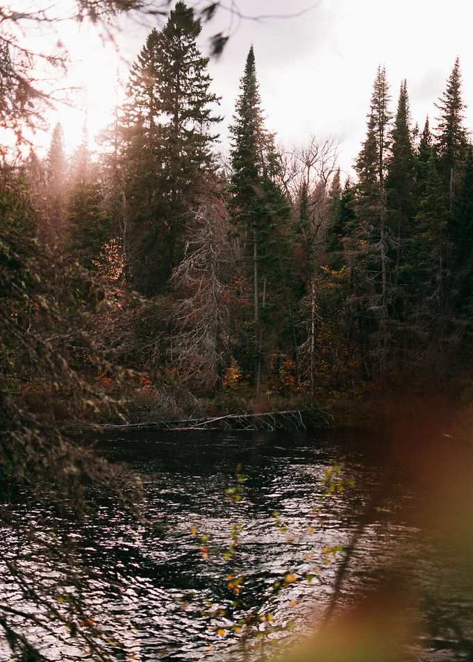 Canadian Fall