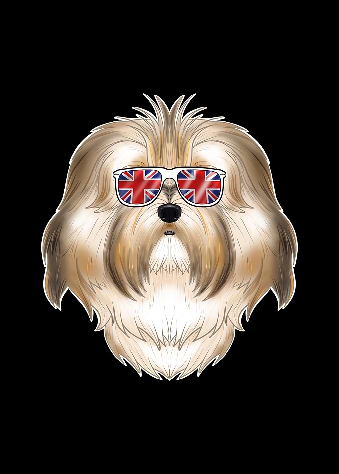 Havanese UK Sunglasses
