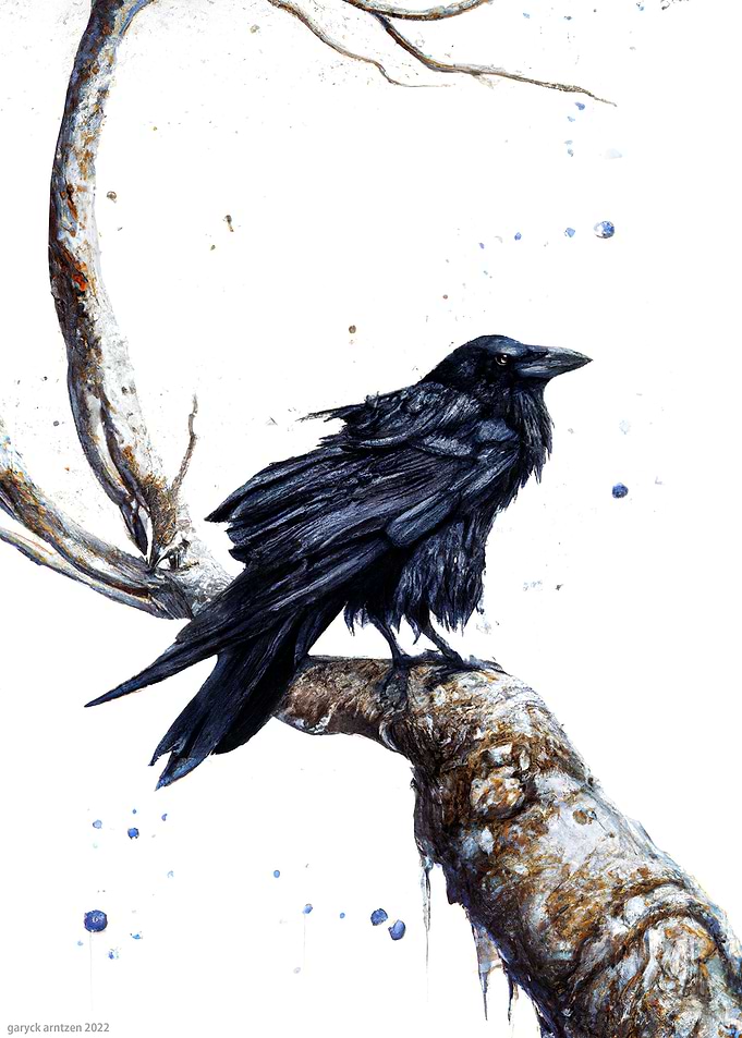 Winters Watcher
