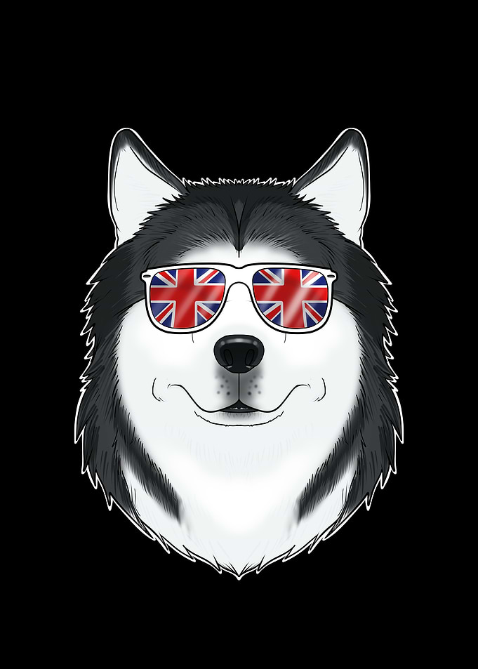 Husky UK Sunglasses