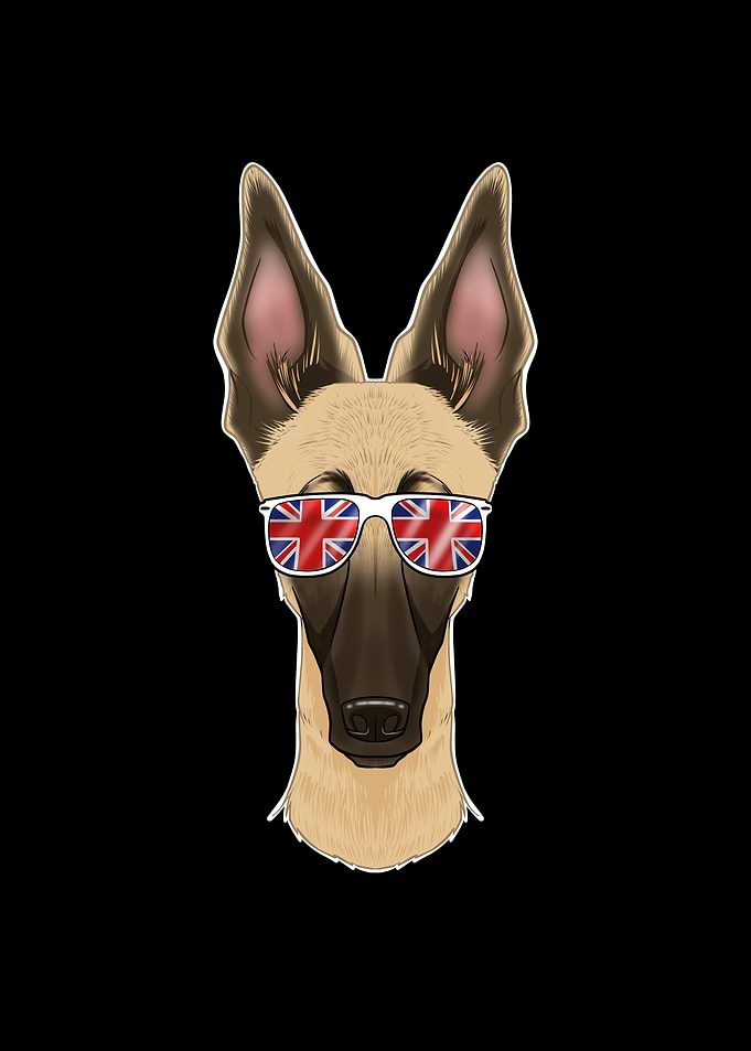 Malinois UK Sunglasses