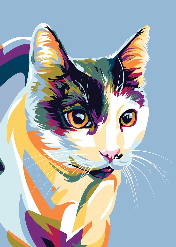 My Fav Cat