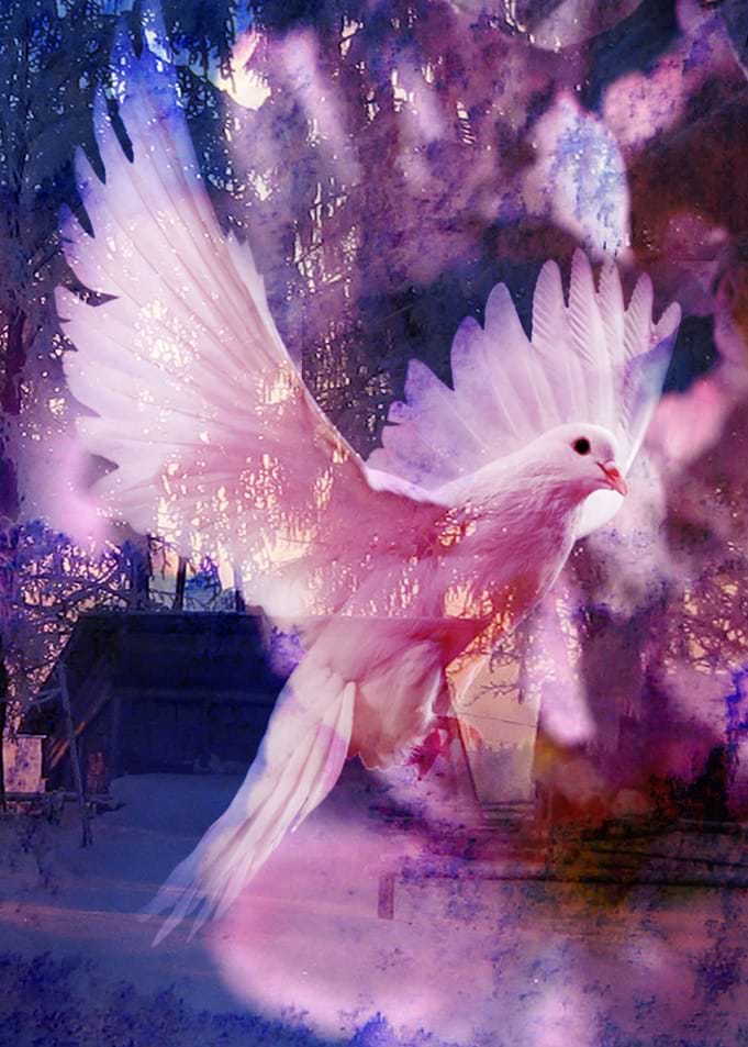 Peace Fading