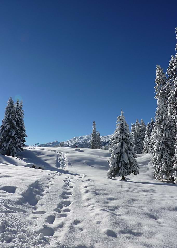 Winter