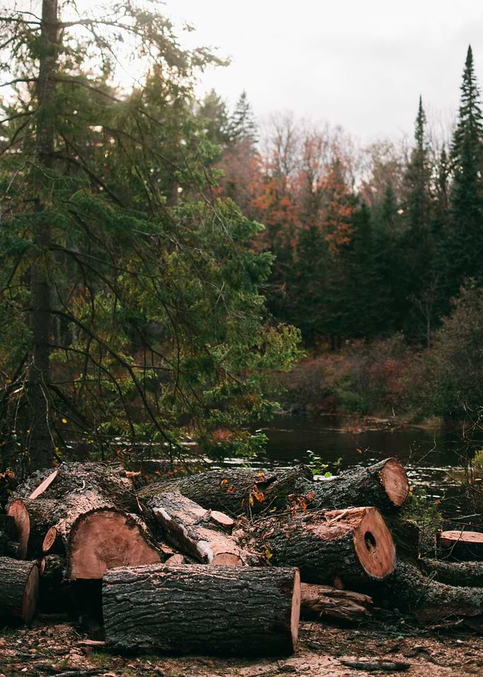 Canadian Fall