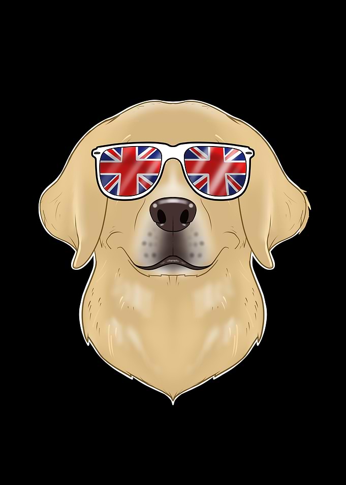 Labrador UK Sunglasses