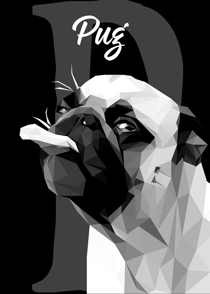 Pug