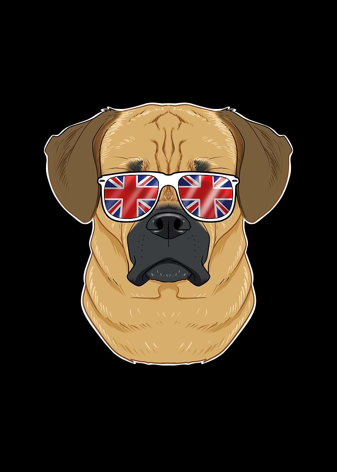 Puggle UK Sunglasses