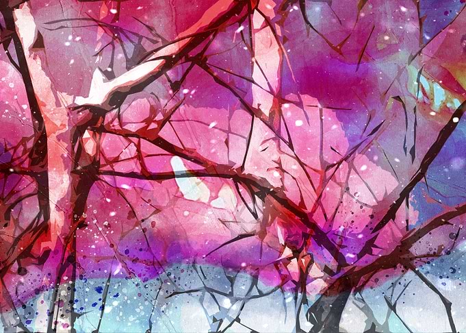 Autumn Winter