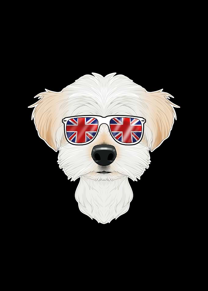 Maltese UK Sunglasses
