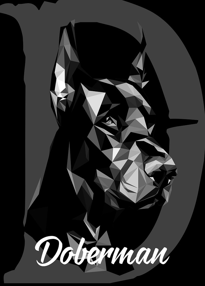 Doberman