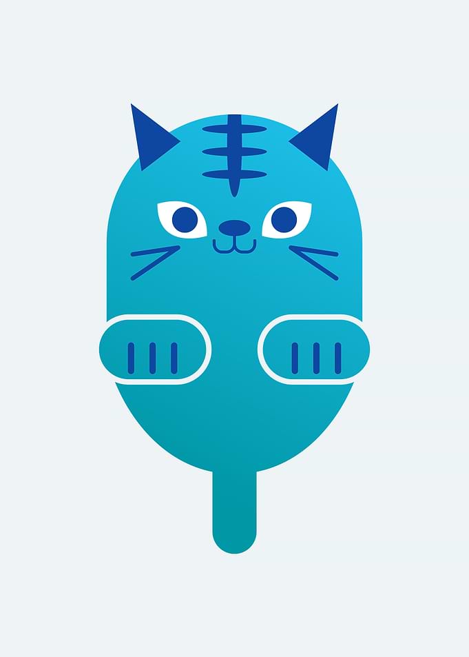 Funny Cat