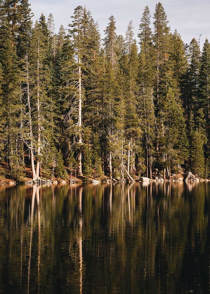 Lakeside
