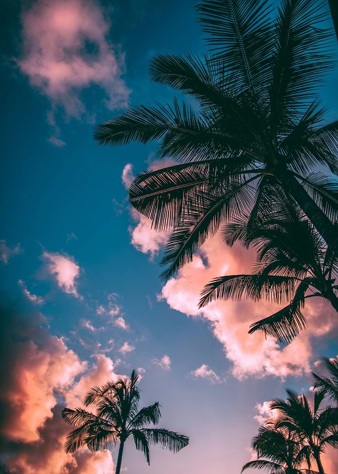 Tropical