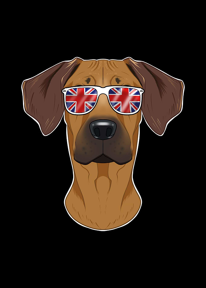 Rhodesian Ridgeback UK