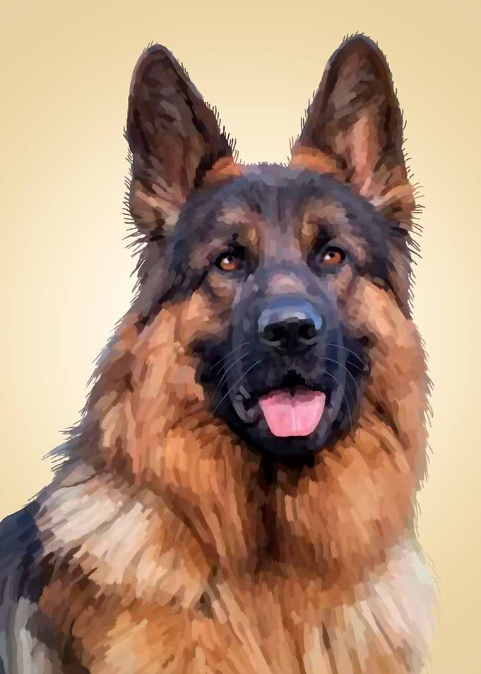 German Shepherd Dog