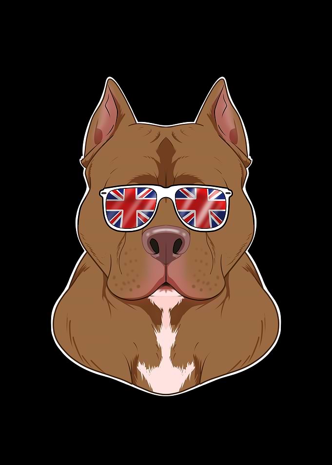 Pitbull UK Sunglasses