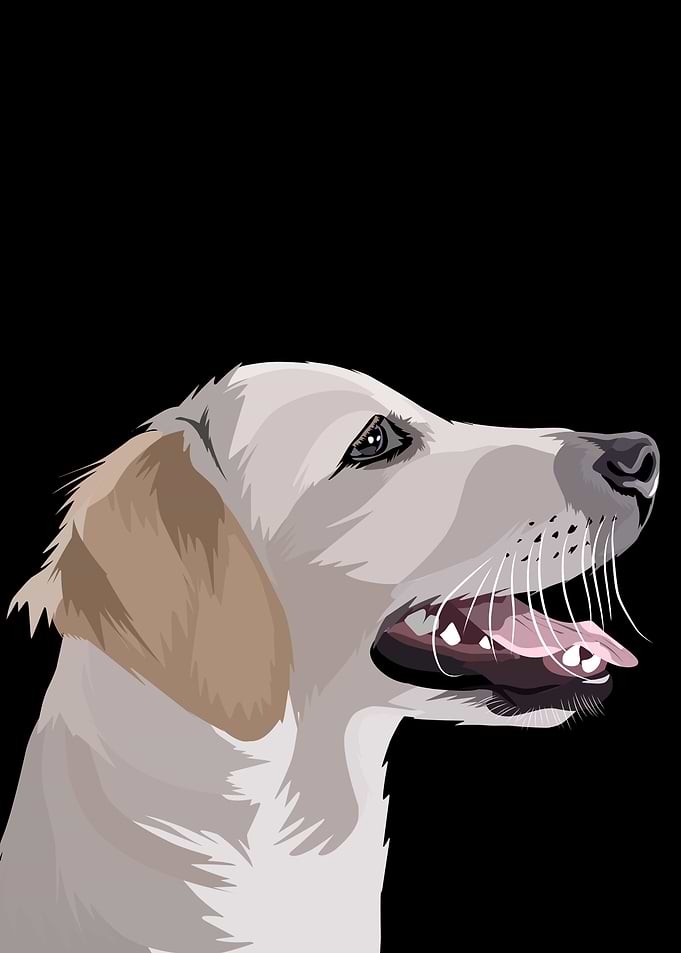 pet dog in vector style