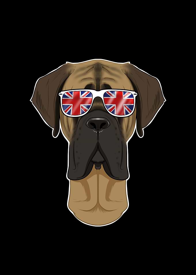 Mastiff UK Sunglasses
