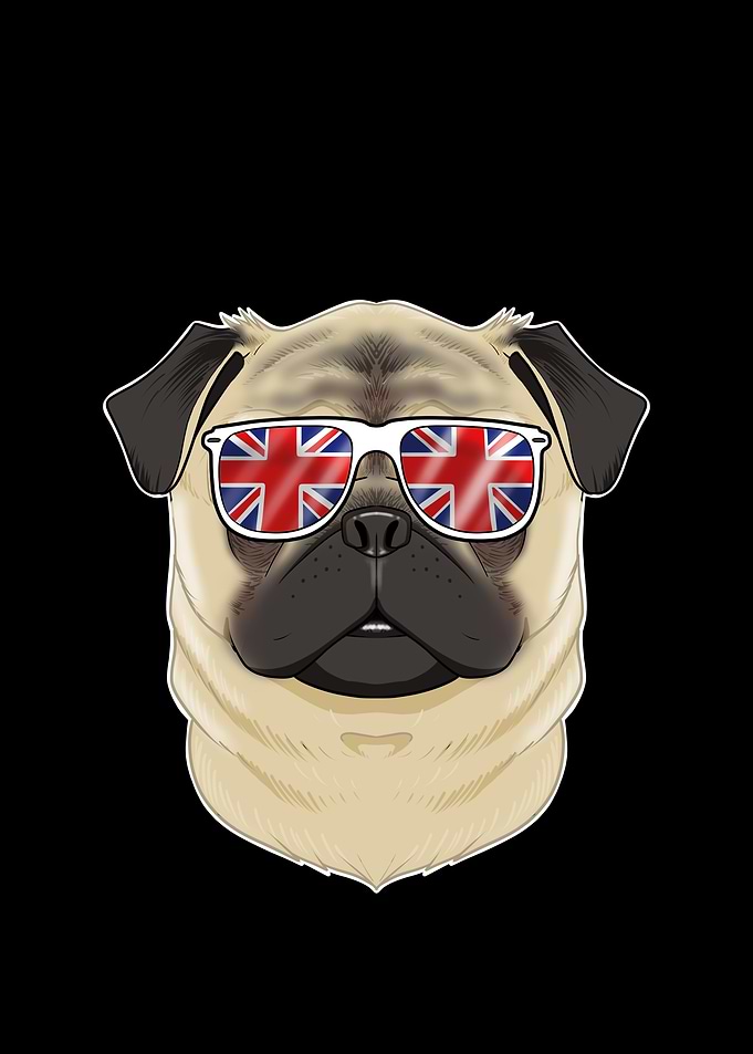 Pug UK Sunglasses