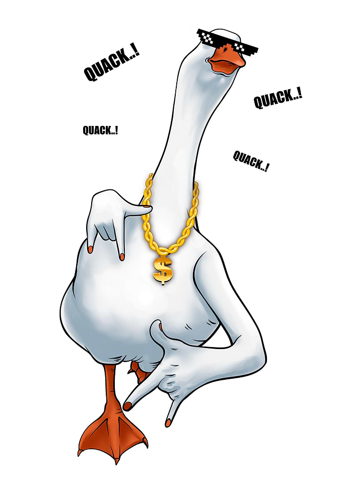 rapper duck